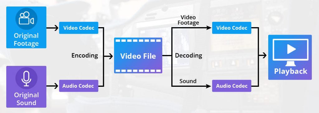 Role-of-Video-Codec-in-Video-Streaming-1